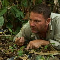 Giant dinosaurs and Ice Age mammoths will roam the stage at Sheffield Utilita Arena in Steve Backshall's Deadly Live! Tour (aff)