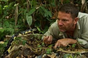 Steve Backshall has got up close to some of the world's deadliest creatures including snakes (photo: True to Nature Ltd/Graham MacFarlane)