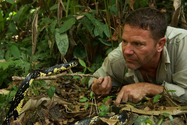 Steve Backshall has got up close to some of the world's deadliest creatures including snakes (photo: True to Nature Ltd/Graham MacFarlane)