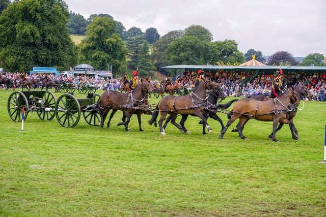 Crowds gather to watch the King's Troop Royal Horse Artillery.