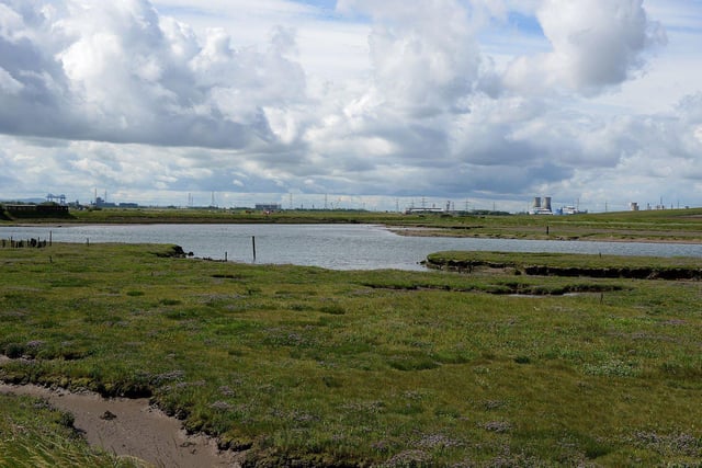 Greatham Creek is a great place to do some seal watching. Picture by FRANK REID