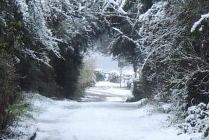 Mill Lane, Branton. From Sarah Blackham.