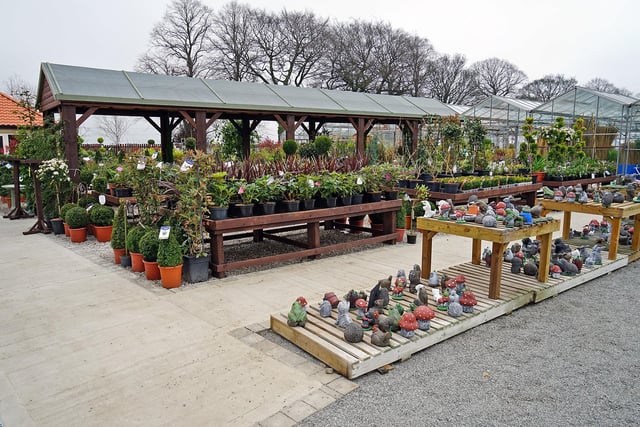Glapwell Nurseries now has a larger outdoor space