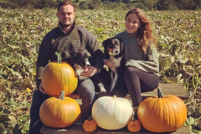 Charlie Village and Frankie James-Birch, with their working collies Caz and Belle, run Village Pumpkins at their Oak Tree Farm in Barlow.