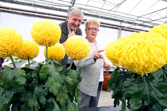 Michael and Maureen Schofield look at the prize winning flowers at Markham Grange Nursery at Doncaster and District Chrysanthemum Society flower and veg show in 2009