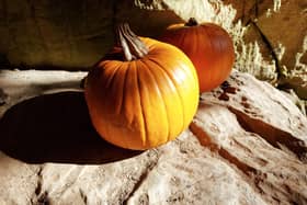 Try your hand at carving a pumpkin at Creswell Crags from October 24 to 29, 2022.
