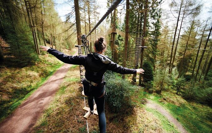Hidden deep in Robin Hood country, you'll find an adventure junkies delight - Go Ape Sherwood Pines Forest Park! An outdoor family adventure, featuring a high-ropes experience for the whole tribe. Stash your bow and arrows for the day and take to the trees for a choice of five family thrills - including the Nets Adventure!