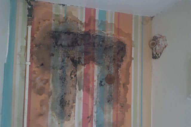 The 31-year-old mother said she has been reporting the damp in her council house for the last five years.