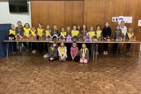 Girls from the 1st Holme Hall and 3rd Brampton Brownies with their 'stable decorations'