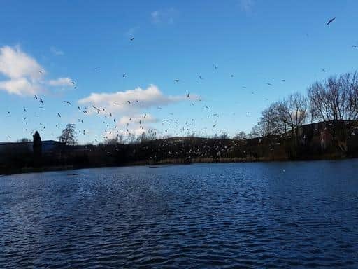 The angling club have big plans to use the settlement to improve Adams Pond.