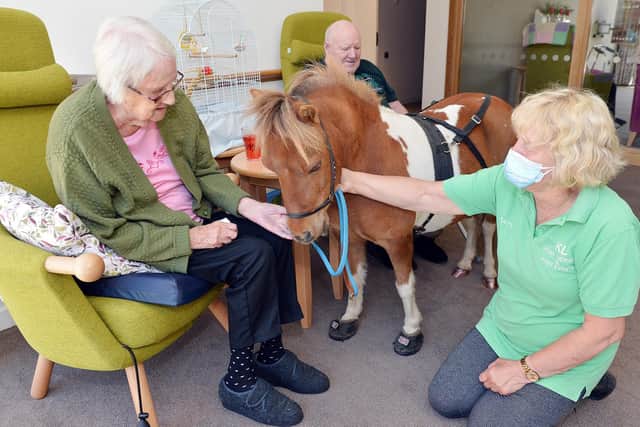 Ponies visit residents at Ada Belfield Centre in Belper. Resident Jessie with Katie Smith from KL pony therapy and pony Mr P.