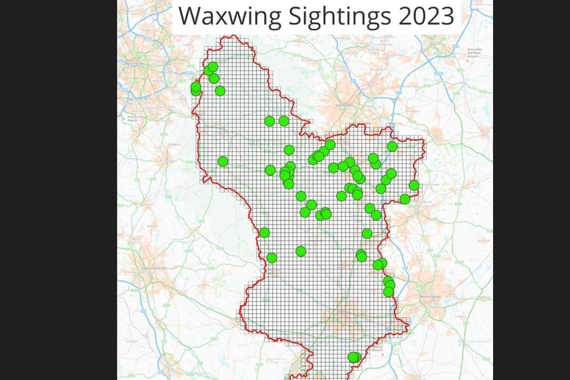The attached map which shows all Waxwing records received by The Derbyshire Ornithological Society during December. This represents 64 sites from 229 individual records, and shows what an amazing year for the species this has been.