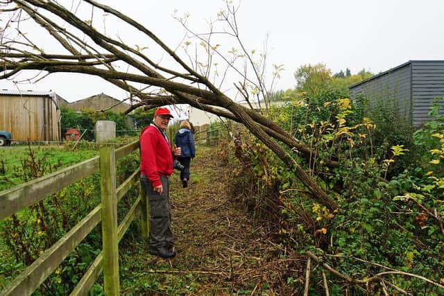 A tree is making it difficult for walkers, bike and horse riders to use one of the public pathways.