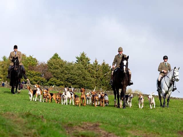 Trail hunting demonstration near Holmesfield, Derbyshire