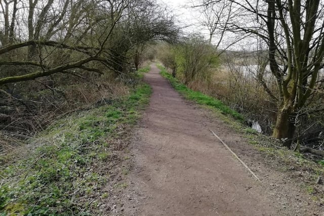 Found near Bolsover and Chesterfield, Carr Vale Nature Reserve is a quaint, yet beautiful piece of unspoilt natural wonderment. It's brilliant for a leisurely walk, or simply to clear your head.