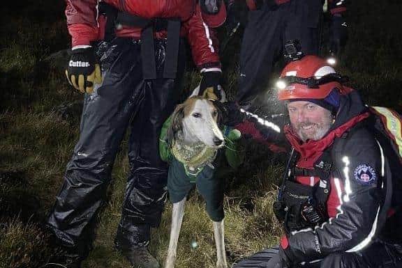 The KMRT were able to bring the dog and its owner back down to safety.