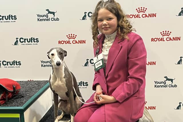 Leightan-Jem Cooper (LJ), 10, from Alfreton, who has been training dog handling only for about a year, has qualified for Junior Handling Association (JHA) finals at the Kennel Club in Coventry in October after competing in Junior pastoral and working dog semi-finals at Malvern showground in July.