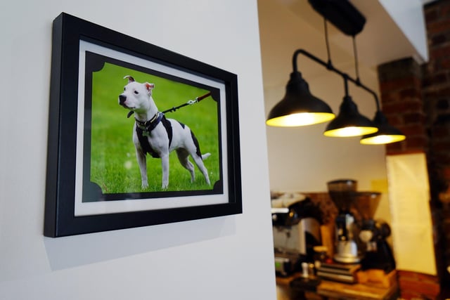 Tracey said: “Nellie was my dog, a rescue Staffordshire bull terrier that we got as a very small puppy - she loved food and people, and so do we, so we thought that would make a good name for our new venture. Dogs are very welcome at Café Nellie – but please bring your owners with you, we can’t rescue you all!”