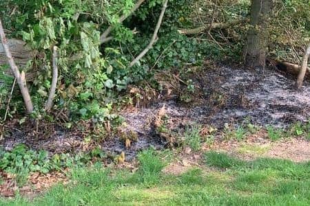 More evidence has emerged of fires being deliberately lit in Chesterfield's Tapton Park. Image: Diane Jay.