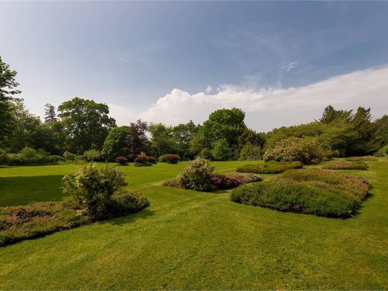 Communal garden grounds.