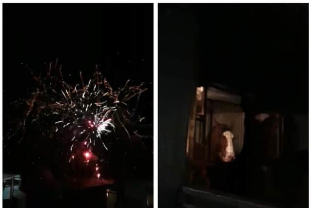 Horses in Derbyshire were left 'stressed' by fireworks over the weekend.