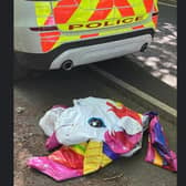 This was the scene at a Sheffield reservoir – after emergency services were called to save two men from drowning. Picture shows the inflatable unicorn