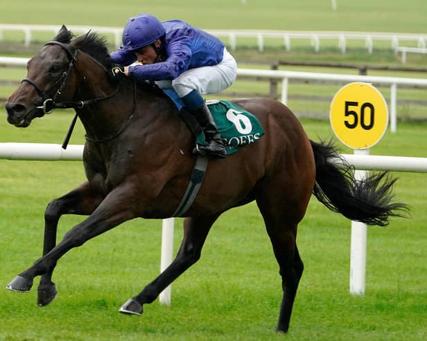 (PINATUBO) – Champion 2yo Pinatubo, who is a warm favourite for the Qipco 2,000 Guineas this Saturday. (Photo by Alan Crowhurst/Getty Images)