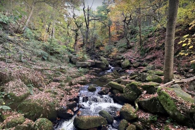 One of the best places to see autumn in all its glory is in the woodland of Padley Gorge. If it's a nice day, how about taking a picnic and dining al fresco beside the stream?