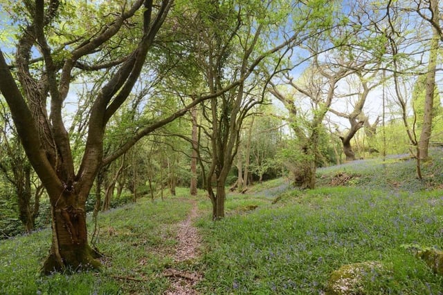 The Bent has a picturesque woodland with mature trees,  a cherry blossom avenue and an abundance of wild flowers.
