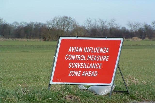 An outbreak of bird flu has been confirmed at a premises near Ilkeston, the second in Derbyshire within a month. 
Credit: Keith Evans / Avian Influenza (Bird Flu) Sign- Geograph / Licence: https://bit.ly/3MDyAfI
