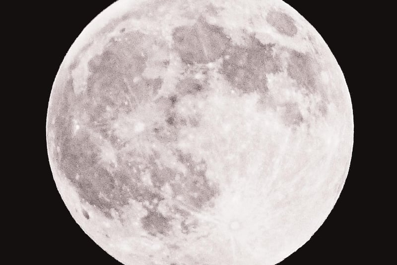 Portsmouth Super Pink Moon: Alison Treacher also got this great close-up of the Super Pink Moon