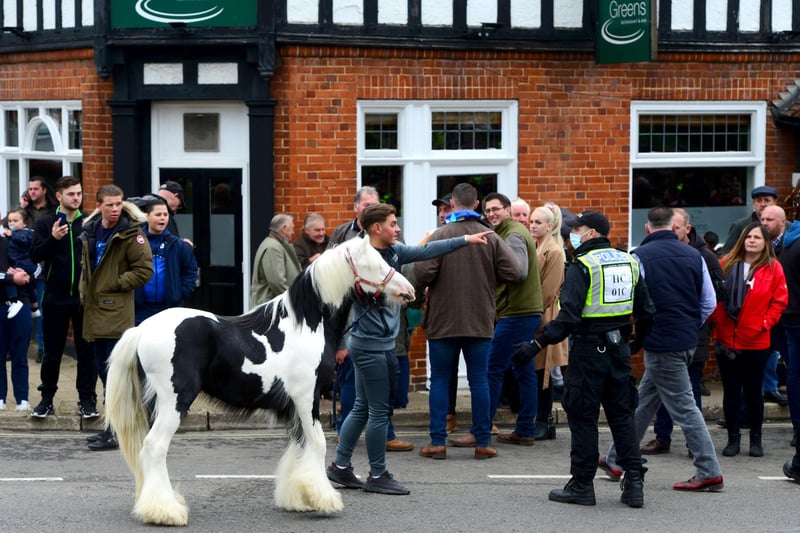 A large crowd turned up for the Wickham Horse Fair today despite it being cancelled. Picture: Roger Arbon/Solent News & Photo Agency