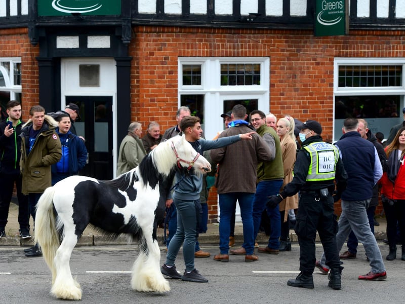 A large crowd turned up for the Wickham Horse Fair today despite it being cancelled. Picture: Roger Arbon/Solent News & Photo Agency