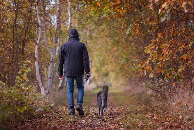 Police are investigating reports of wildlife poisoning in an area of Derbyshire woodland popular with dog walkers. Image for illustration only. Image: Pixabay.