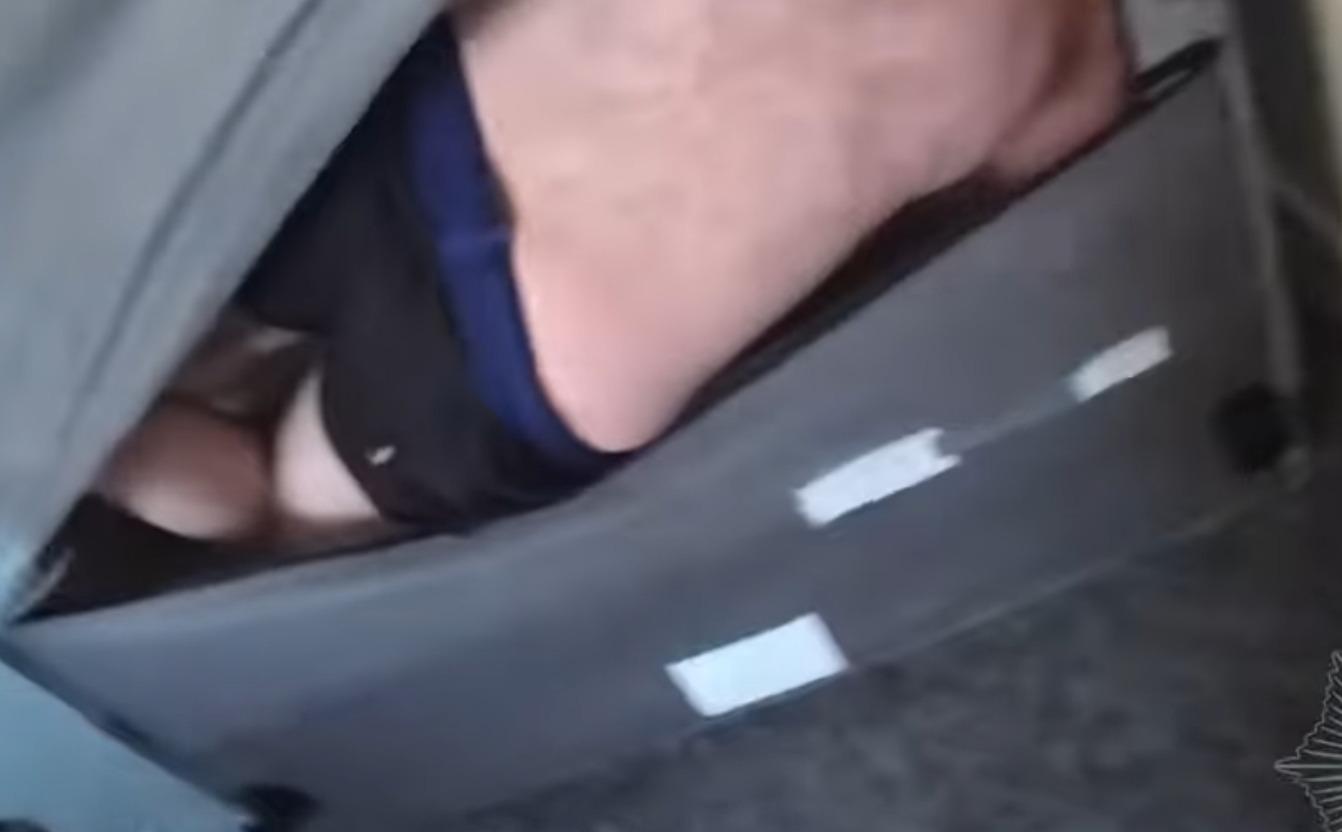 Bizarre video shows the moment police discover wanted man hiding inside his sofa