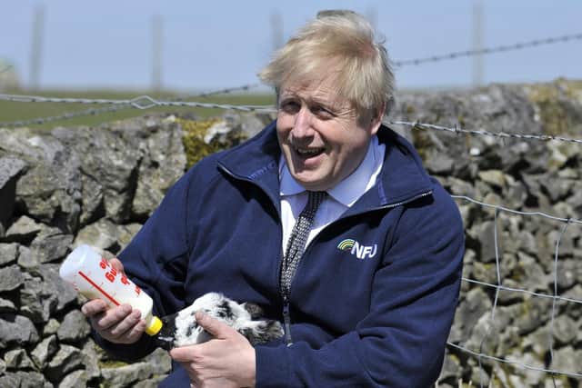 Prime Minister Boris Johnson feeds a lamb during a visit to the Moor Farm in Stoney Middleton as part of the election campaign