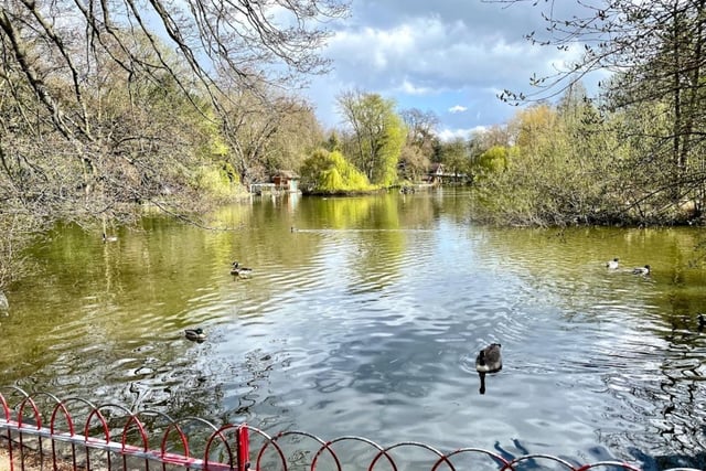 Queen's Park isn't the biggest park in Derbyshire, but it may be one of the most beautiful. It's a great place to go if you simply need to unwind and have a picnic with the family.