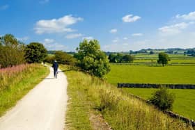 Acting head of asset management Matt Freestone said the Tissington Trail was ‘among the most significant’ sites to be affected by the fungal disease, estimating around £112k had been spent on that trail alone.