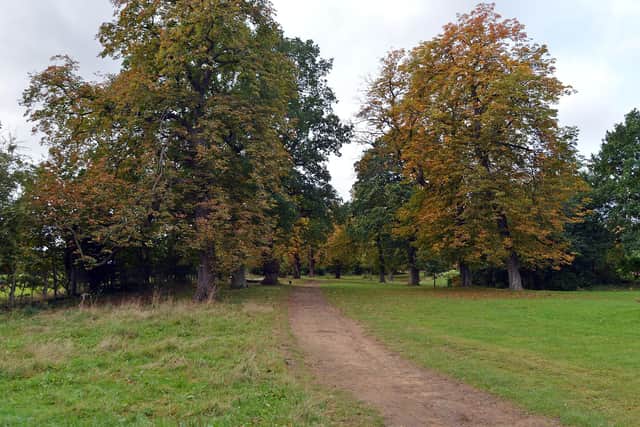 Much of the pathway around the park is unsuitable for the elderly and disabled.