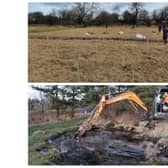 The council have helped with pond improvements at Holmebrook Valley Park and tree planting in Whitecotes Park.
