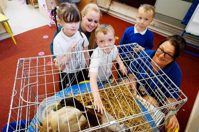 Recently early years had a chance to pat ducks in school for the day.  Next month, the whole school – and local families – will go to Yorkshire Wildlife Park as a treat to celebrate the end of the school year, at a much-subsidised cost.