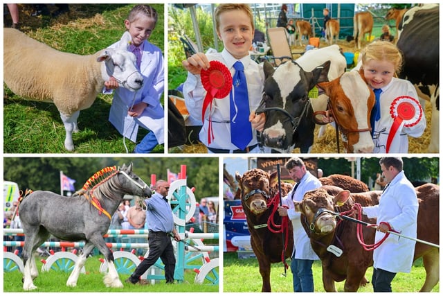 Can you spot anyone you know in our gallery of photos from Ashover Show?