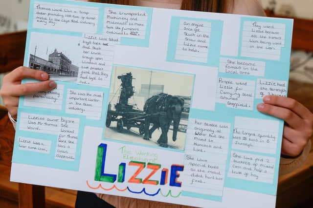 Lilly Holmes from Killamarsh who has been learning about Lizzie the Elephant has been blown away the support she has received