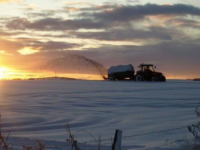A covering of snow doesn't mean that formers can stop work - a fact captured by Mark Watson in this picture.