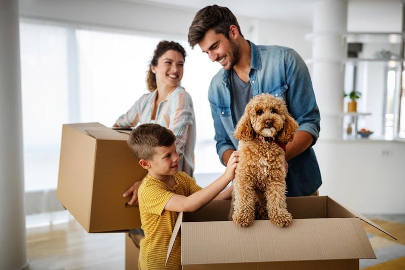 Assigning them tasks will make them feel much more involved in the move as well as making them feel just as important as the grown-ups. Whether it’s creating a playlist and being DJ for the moving day, making sure all their toys are in boxes, or entertaining the family pet for the day, it will keep them occupied and even help you out in the process.