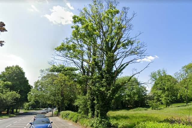 The application concerns five sycamores and two ash trees at the land opposite Chesterfield crematorium which has been covered by a Tree Preservation Order since June 1987.
