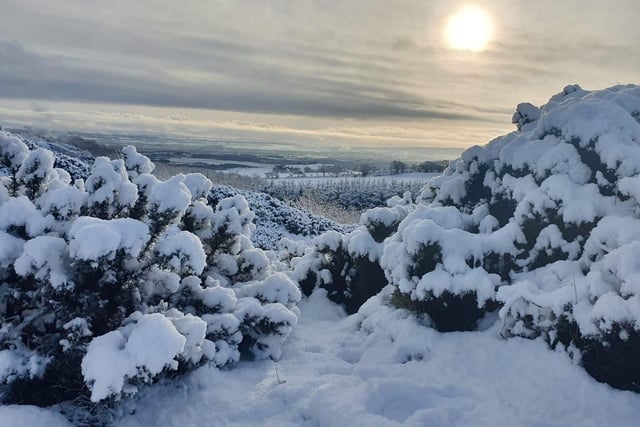 Sandra Pearson shared this snow covered landscape.