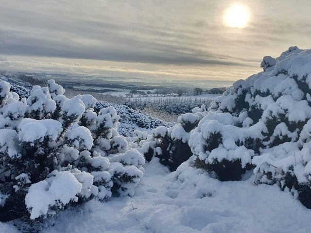 Sandra Pearson shared this snow covered landscape.