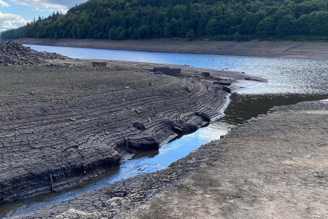 Almost every region in the country was declared to be facing ‘drought’ or ‘prolonged dry weather’ this year, according to the Environment Agency.