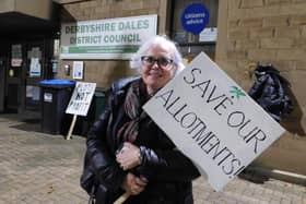 Allotment holders are calling for financial and political support to help them compulsory purchase the site from the landowner.